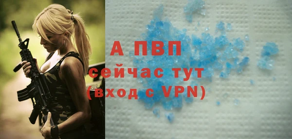 крисы Надым