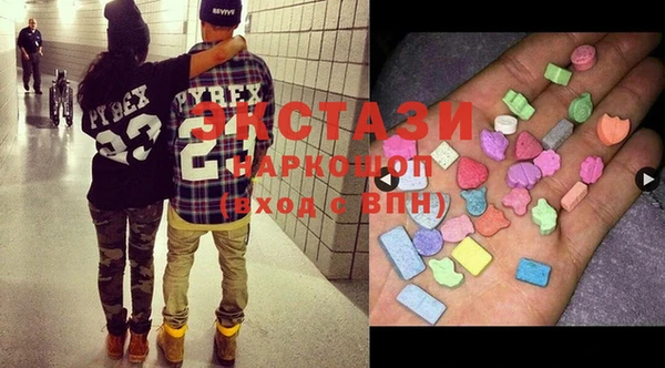 крисы Надым