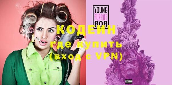 крисы Надым