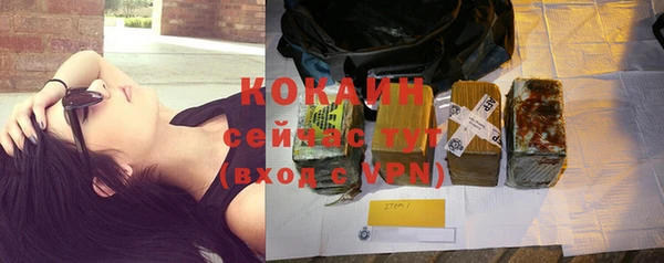 крисы Надым