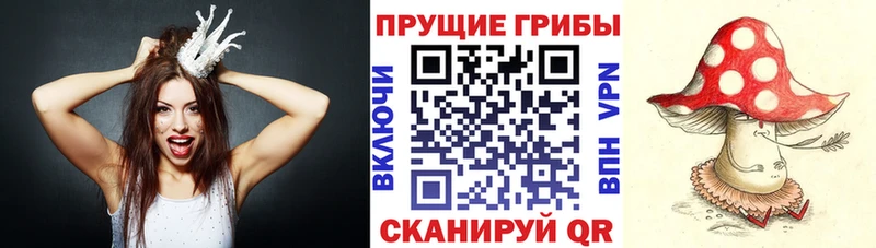 Псилоцибиновые грибы ЛСД Купить Батайск